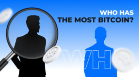 Who has the most bitcoin