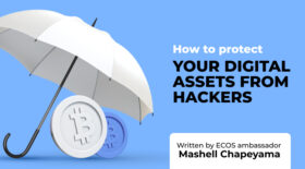 How to protect your digital assets from hackers