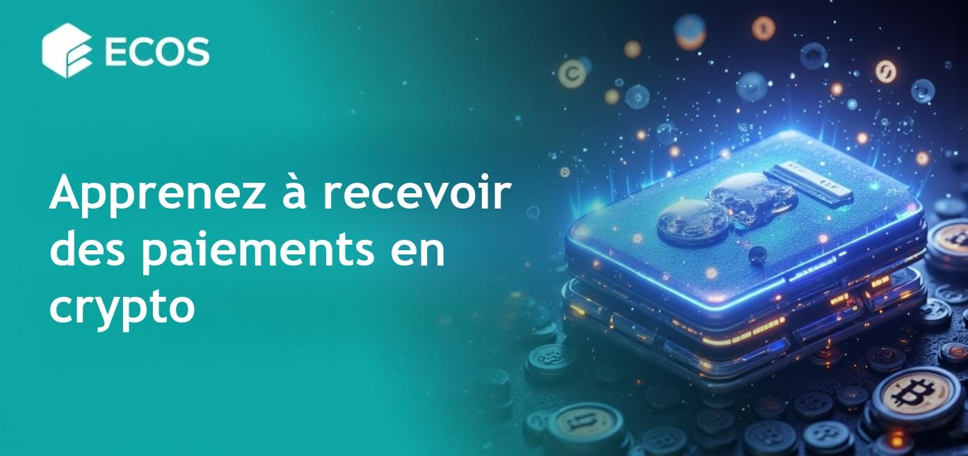 Guide complet sur la réception de paiements en cryptomonnaies comme le Bitcoin et l'Ethereum.