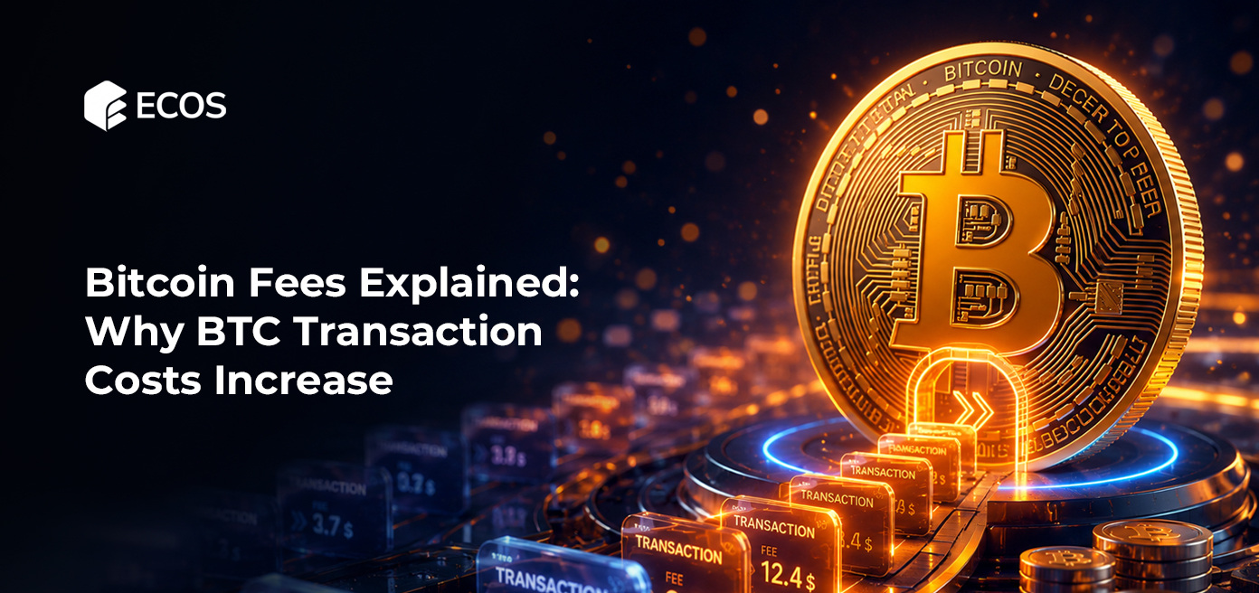 Bitcoin Fees Explained: Why BTC Transaction Costs Increase