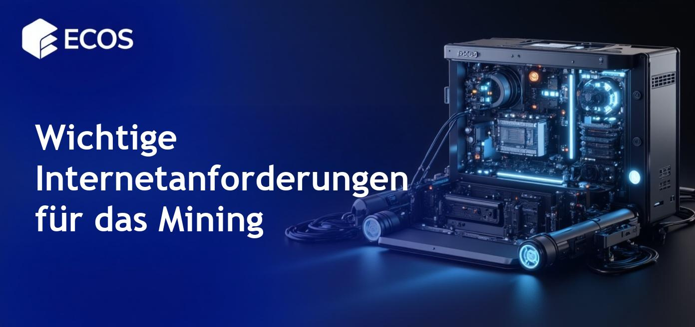 Detaillierte Beschreibung der Internetanforderungen für das Mining in deutscher Sprache
