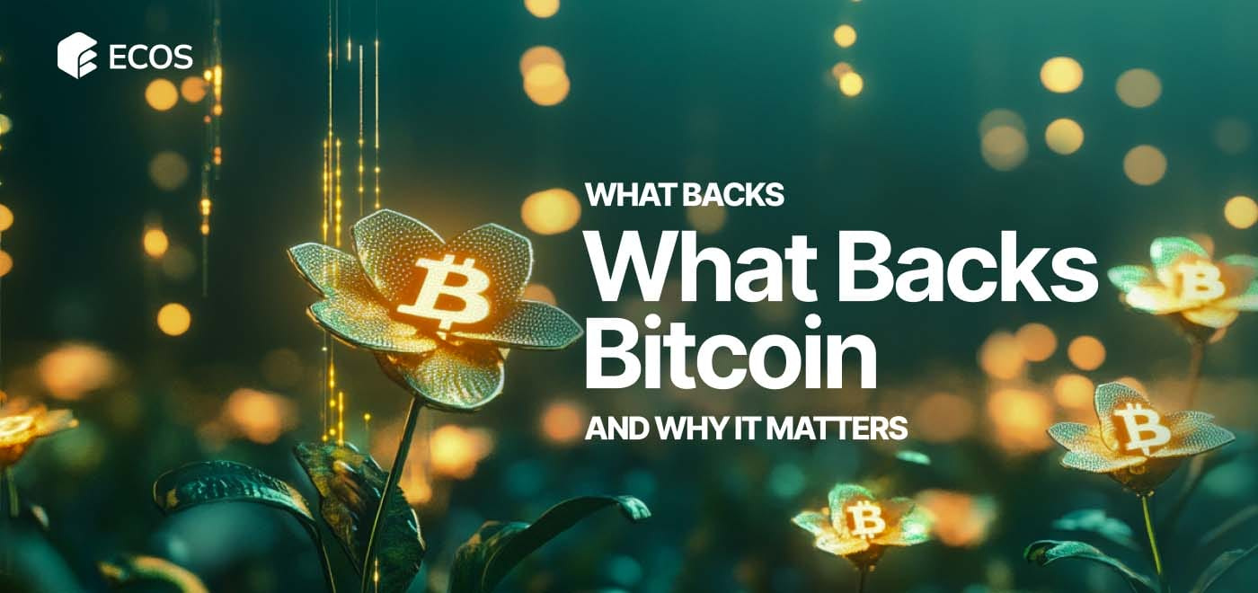 What Backs the Value of Bitcoin? Understanding Its Market Value and Scarcity