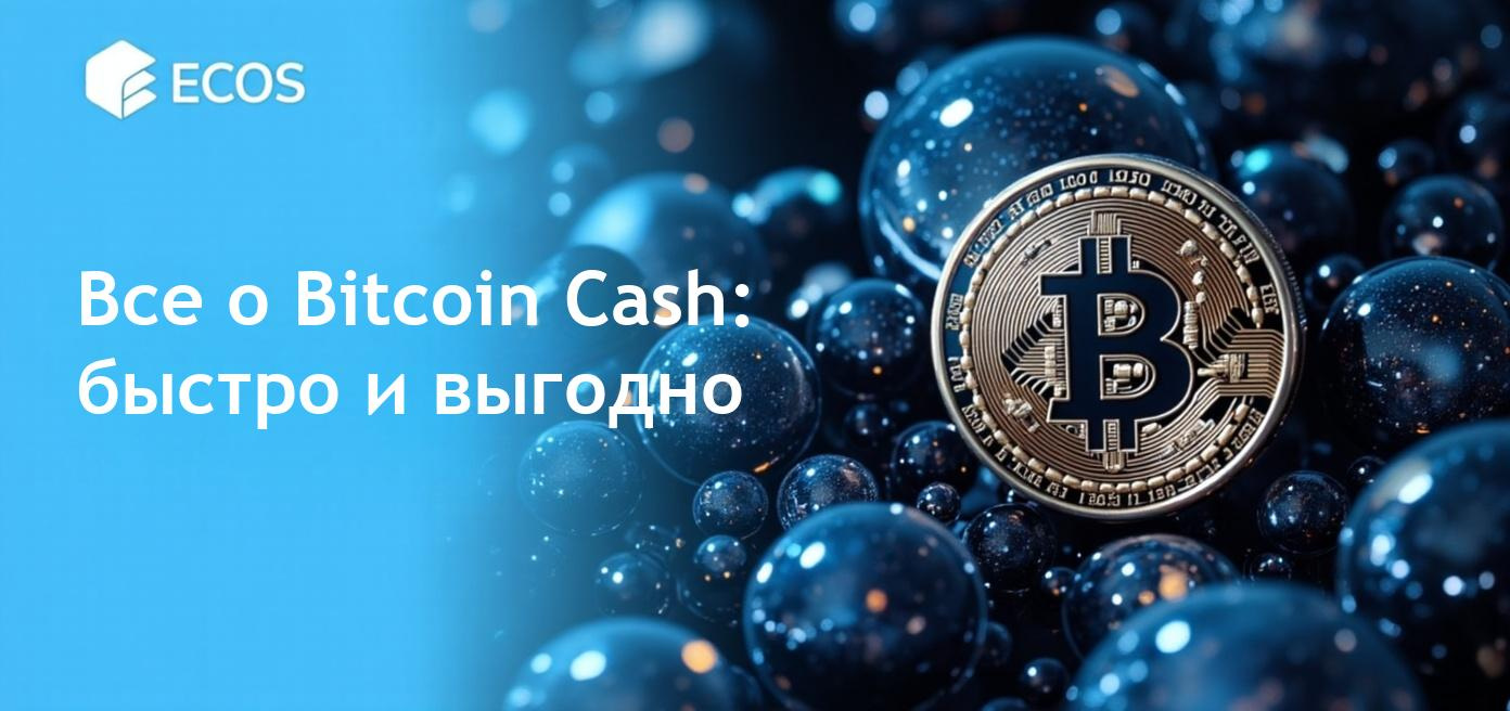 Блокчейн Bitcoin Cash с акцентом на скорость и низкие комиссии