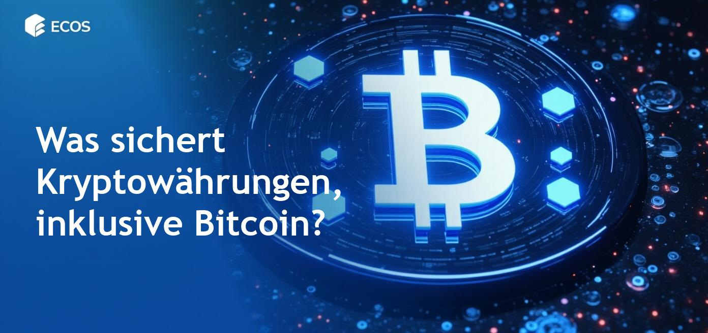 Detaillierte Beschreibung der Sicherheiten für Kryptowährungen, insbesondere Bitcoin und Stablecoins