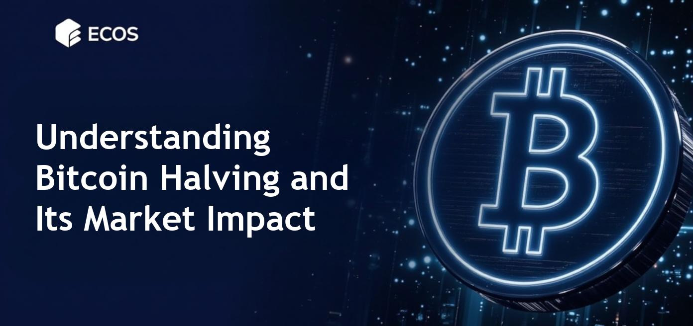 Detailed infographic on Bitcoin halving process and its effects on price and market trends for the year 2025.