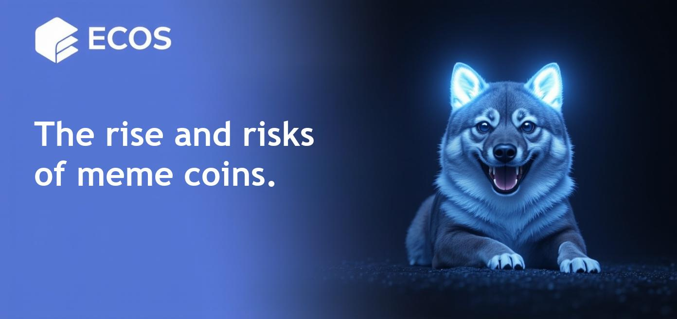 A comprehensive overview of meme coins, their volatility, and investment potential in 2025.