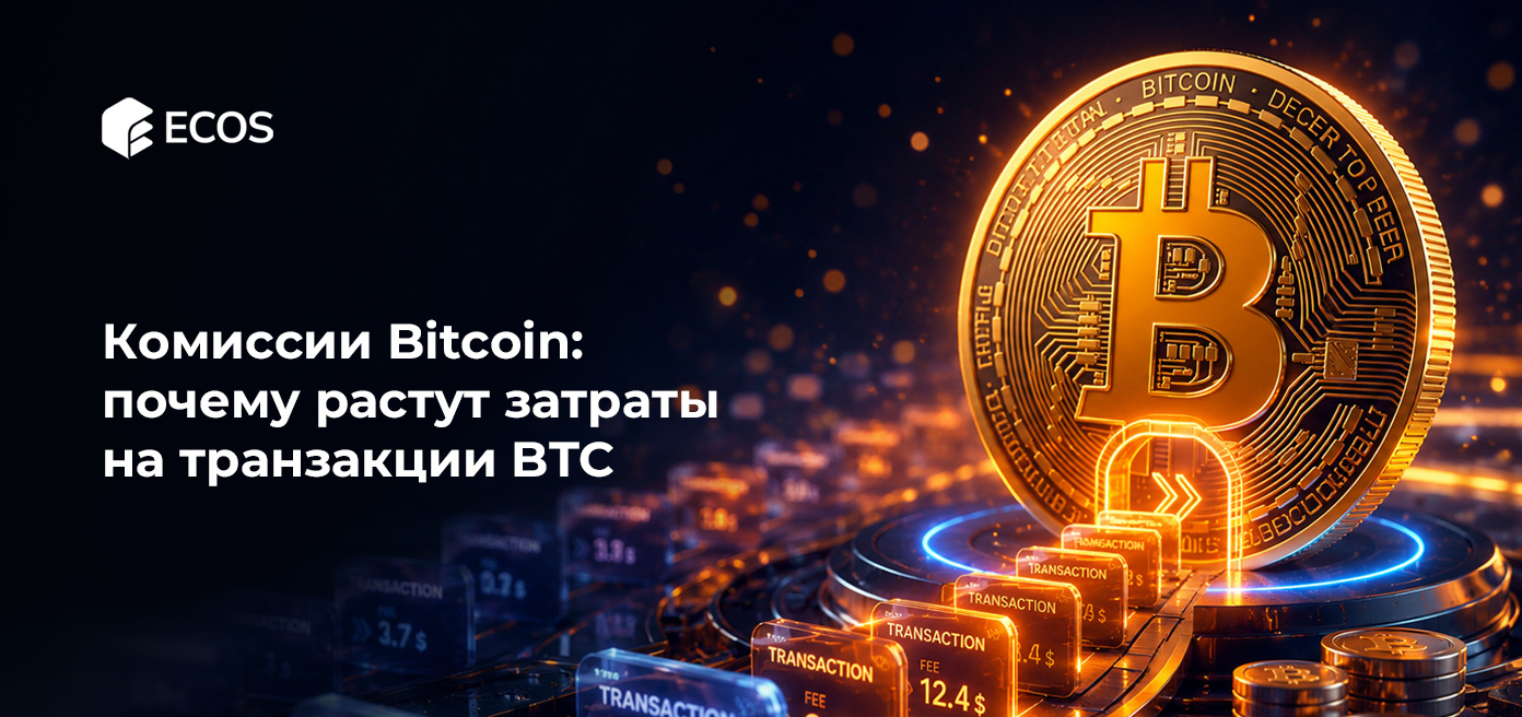 Комиссии Bitcoin: почему растут затраты на транзакции BTC