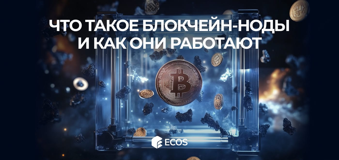 Что такое блокчейн-ноды и как они работают: Полное руководство