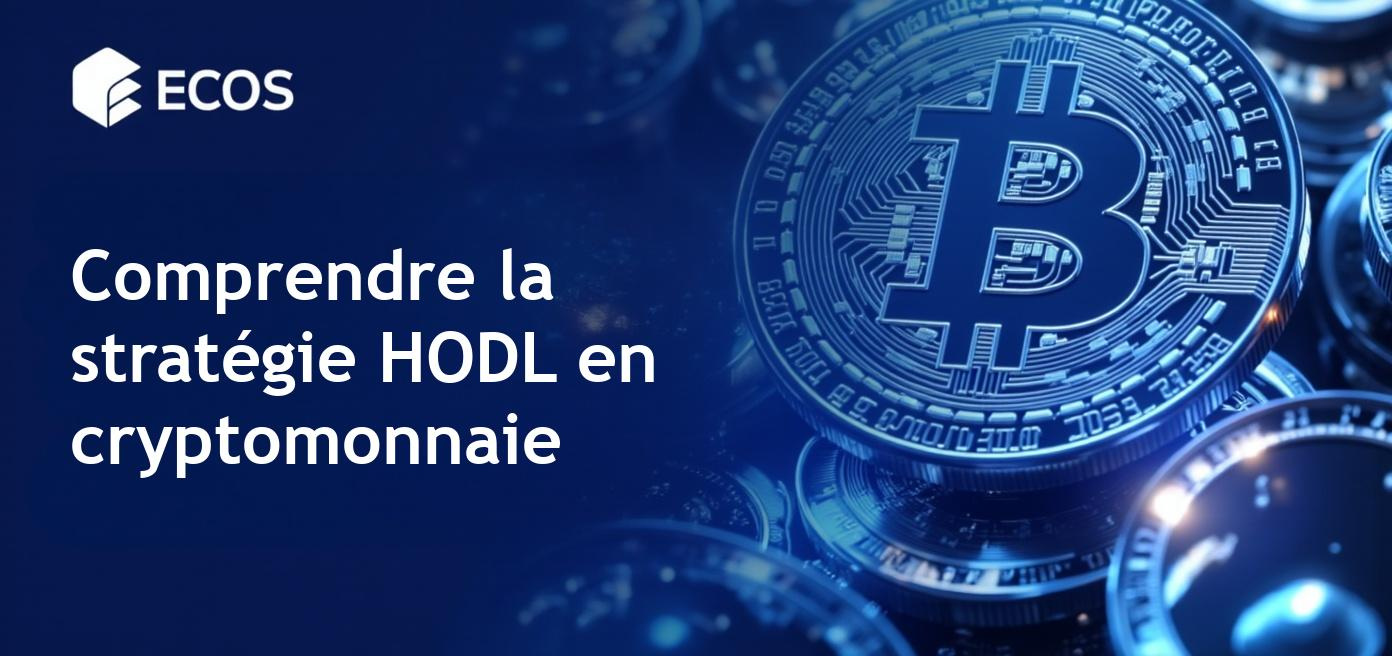 Stratégie HODL en cryptomonnaie: signification et risques associés.