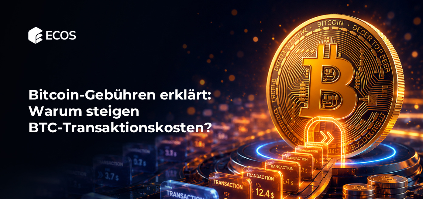 Bitcoin-Gebühren erklärt: Warum steigen BTC-Transaktionskosten?