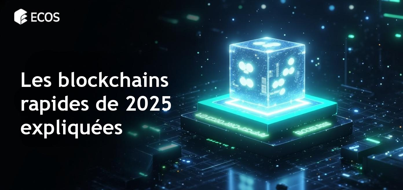 Image illustrant les blockchains les plus rapides en 2025 et leurs spécificités techniques.
