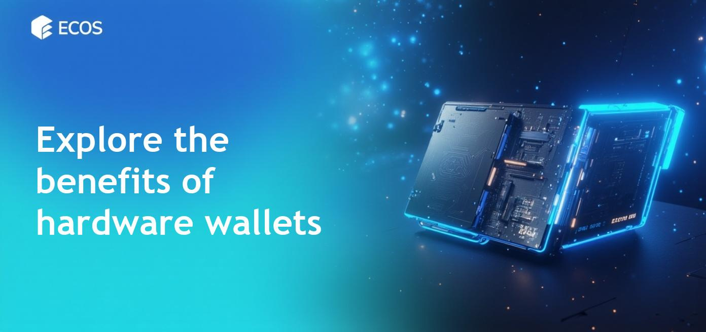 A detailed overview of a hardware cryptocurrency wallet with focus on security features