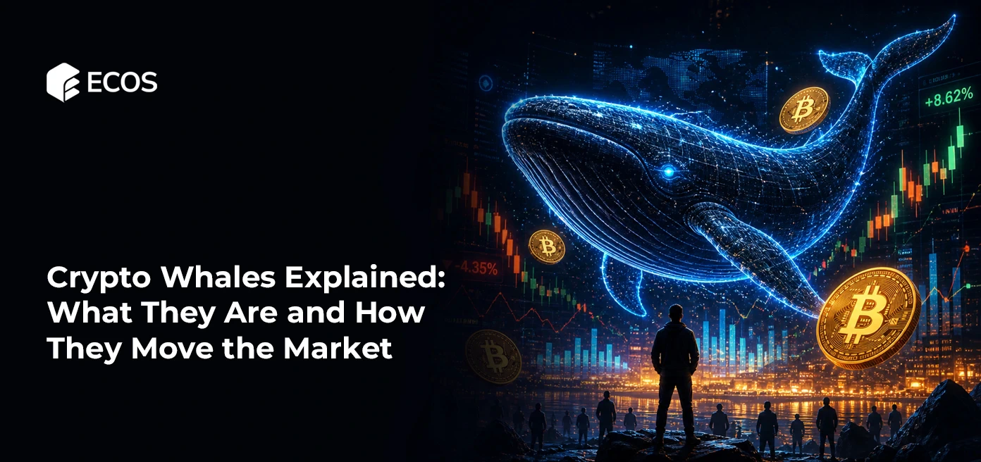 Crypto Whales Explained: What They Are and How They Move the Market