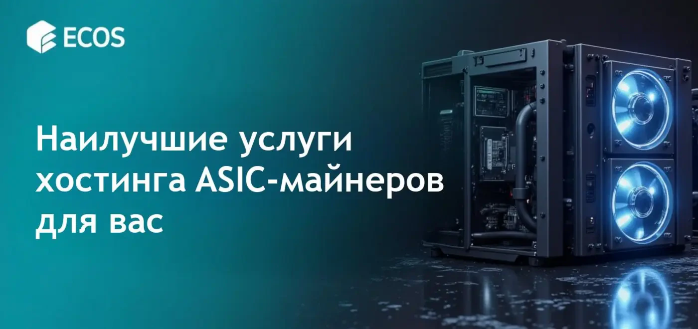 Сравнение услуг хостинга ASIC-майнеров с акцентом на эффективность.