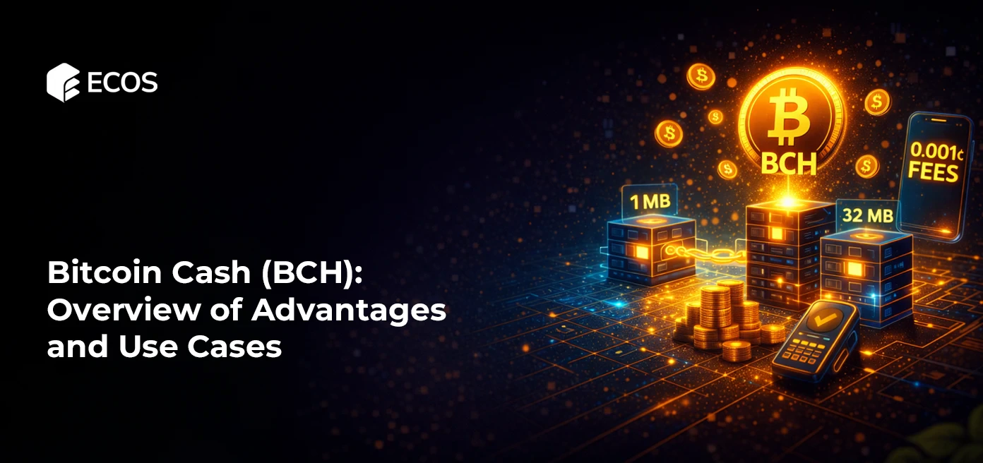 Bitcoin Cash (BCH): обзор преимуществ и сценариев использования