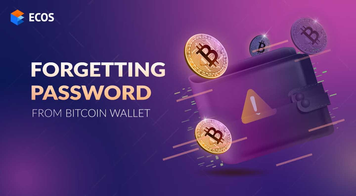 How to recover your lost Bitcoin wallet password?