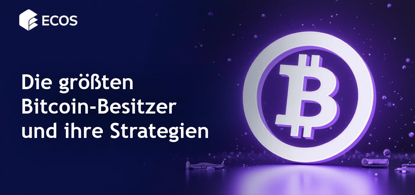 Wer hat die meisten Bitcoins? Eine Analyse der Vermögensverteilung.