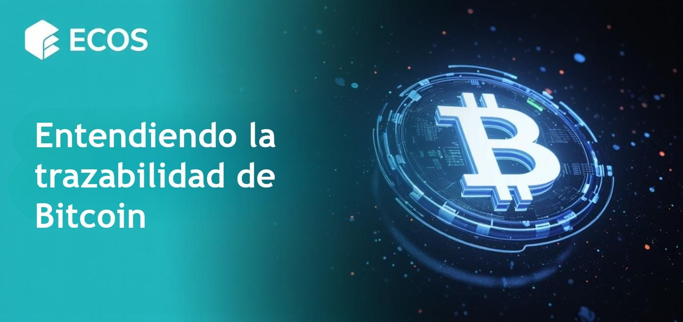 Una representación visual sobre la trazabilidad de Bitcoin en un entorno digital, destacando la relación entre transacciones y privacidad.