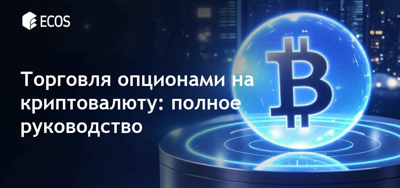 Торговля опционами на криптовалюту: подробное руководство для новичков и экспертов.