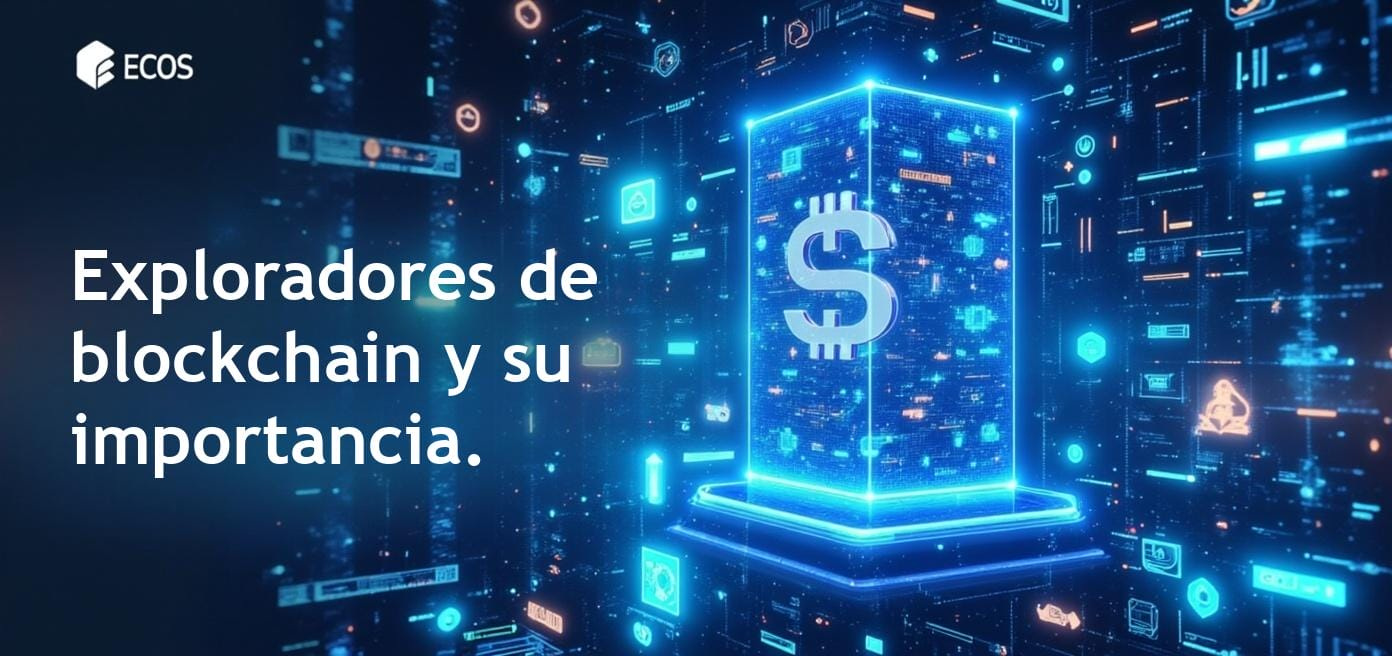 Exploradores de blockchain mostrando transacciones criptográficas y balances.