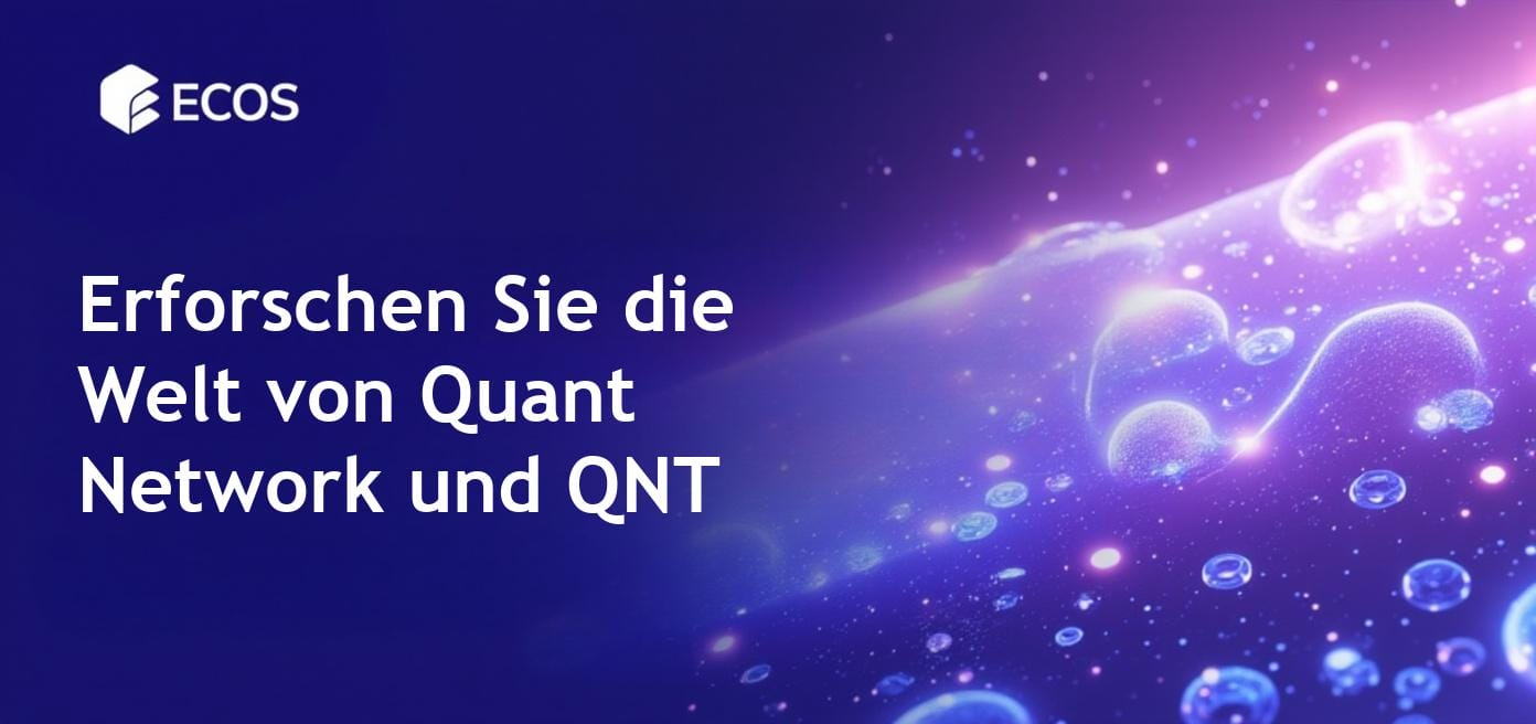 Detailierte Beschreibung von Quant Network und seinen Funktionen auf Deutsch.