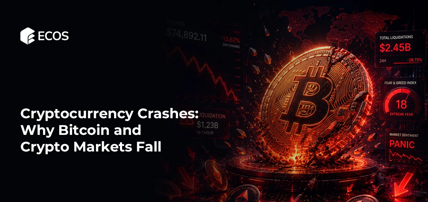 Cryptocurrency Crashes: Why Bitcoin and Crypto Markets Fall