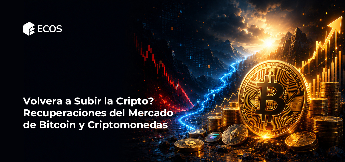 Volvera a Subir la Cripto? Recuperaciones del Mercado de Bitcoin y Criptomonedas