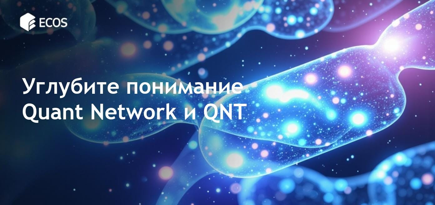 Картинка, иллюстрирующая роль токена QNT в Quant Network