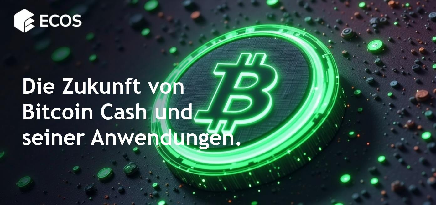 Bitcoin Cash als dezentrale digitale Währung zur schnellen Abwicklung von Zahlungen.