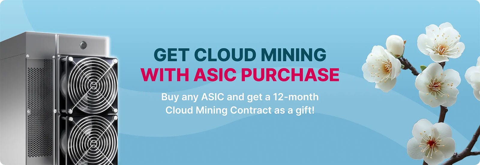 Spring Promo!