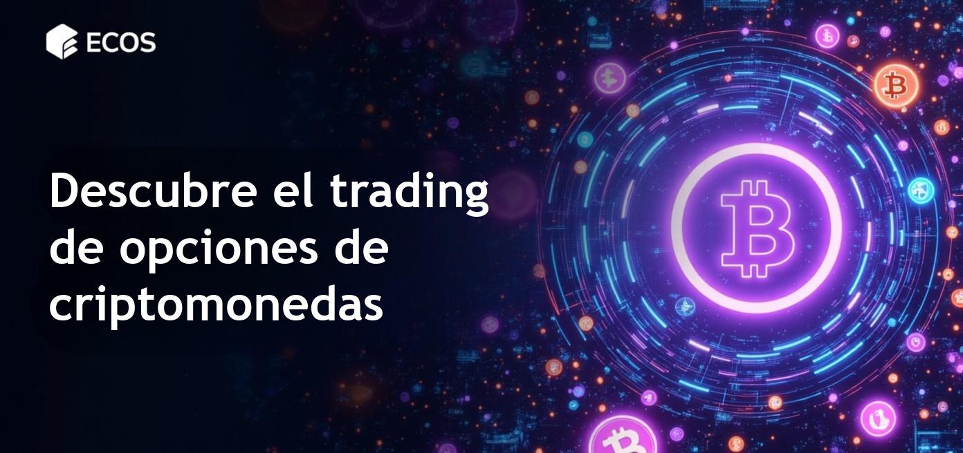 Opciones de criptomonedas detalladas para el trading de Bitcoin.