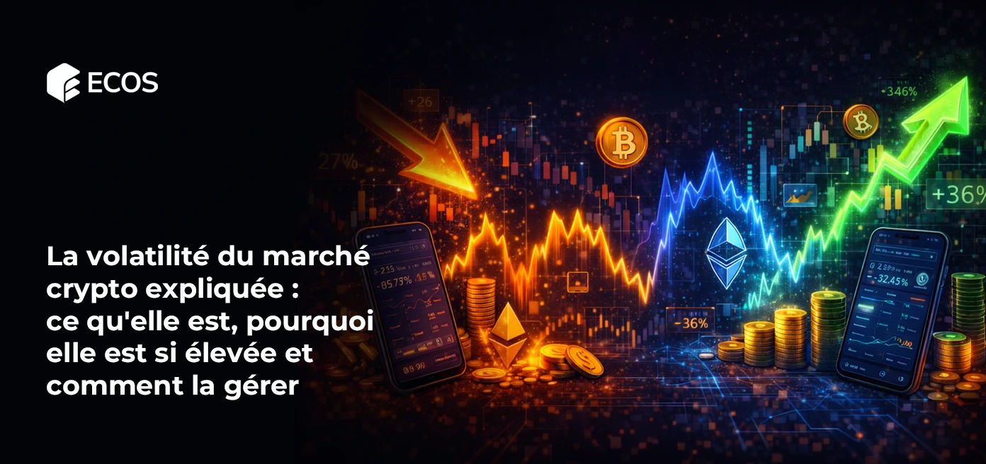 La volatilité du marché crypto expliquée : ce qu'elle est, pourquoi elle est si élevée et comment la gérer