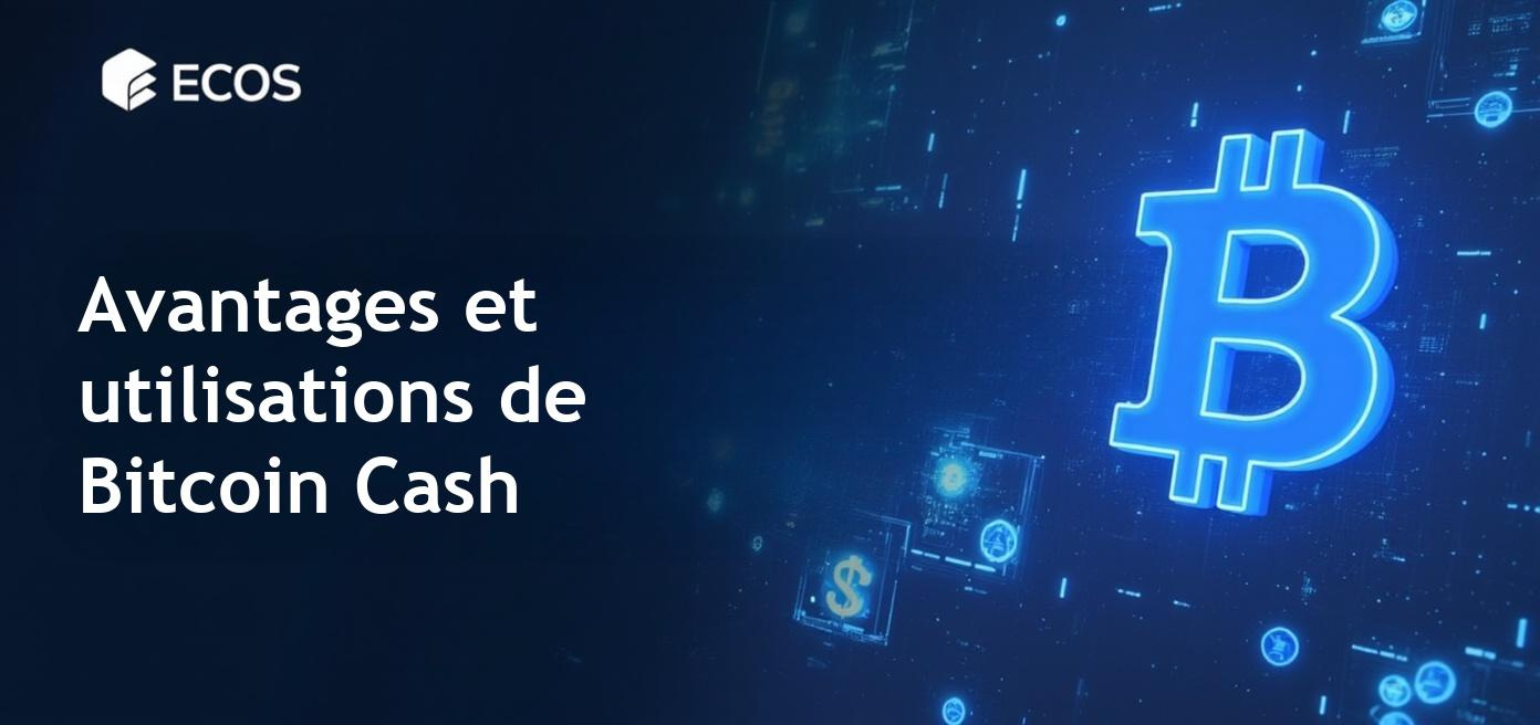Une illustration représentant les caractéristiques de Bitcoin Cash par rapport à Bitcoin, montrant les différences clés.