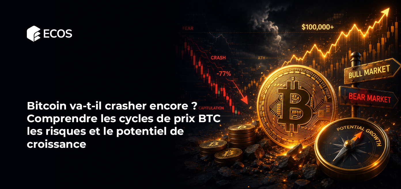 Bitcoin va-t-il crasher encore ? Comprendre les cycles de prix BTC, les risques et le potentiel de croissance