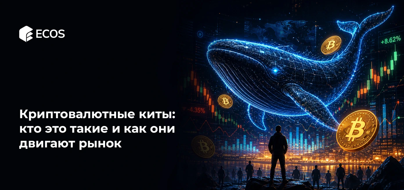 Криптовалютные киты: кто это такие и как они двигают рынок