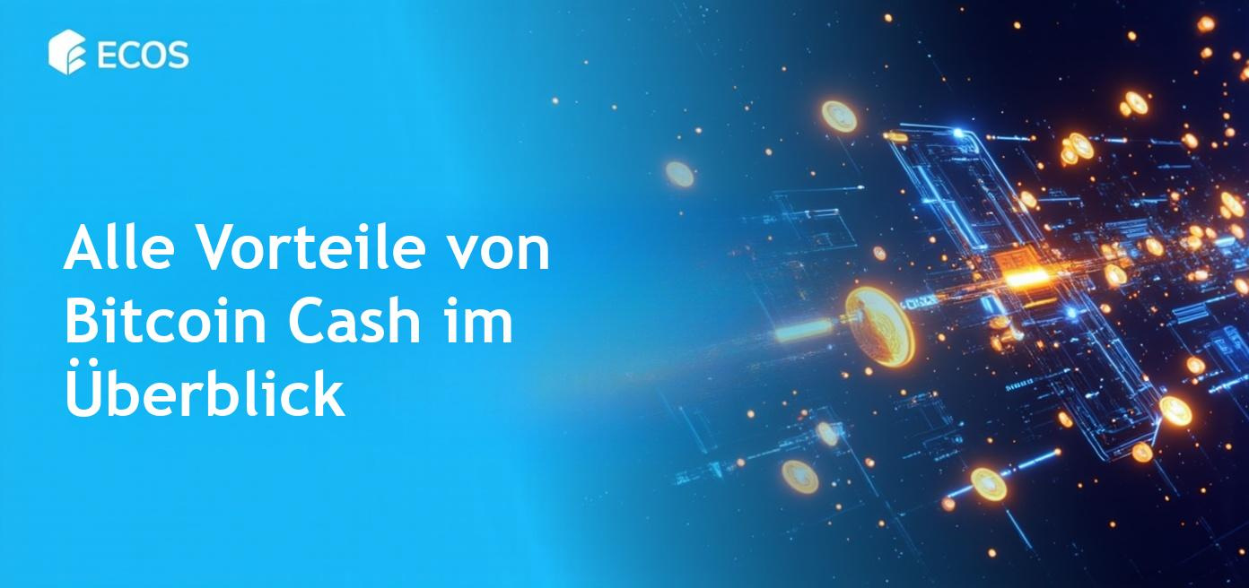 Umfassende Analyse von Bitcoin Cash und seinen Vorteilen.