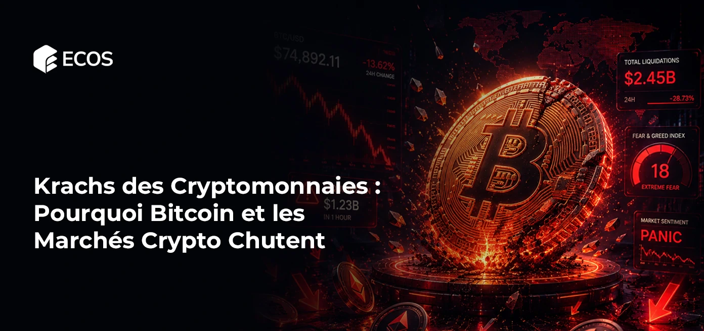 Krachs des Cryptomonnaies : Pourquoi Bitcoin et les Marchés Crypto Chutent