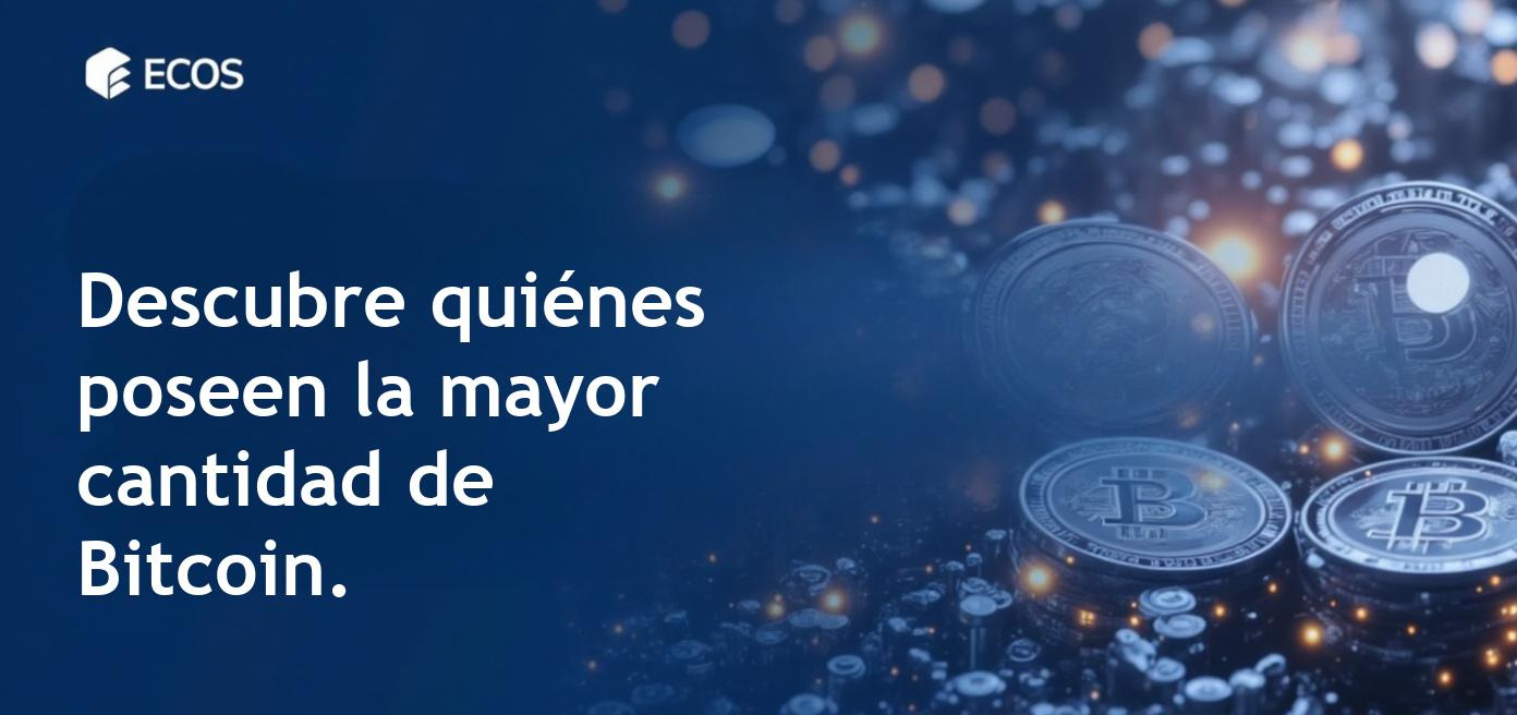 Representación gráfica de los propietarios de Bitcoin, destacando las diferentes categorías de tenedores.